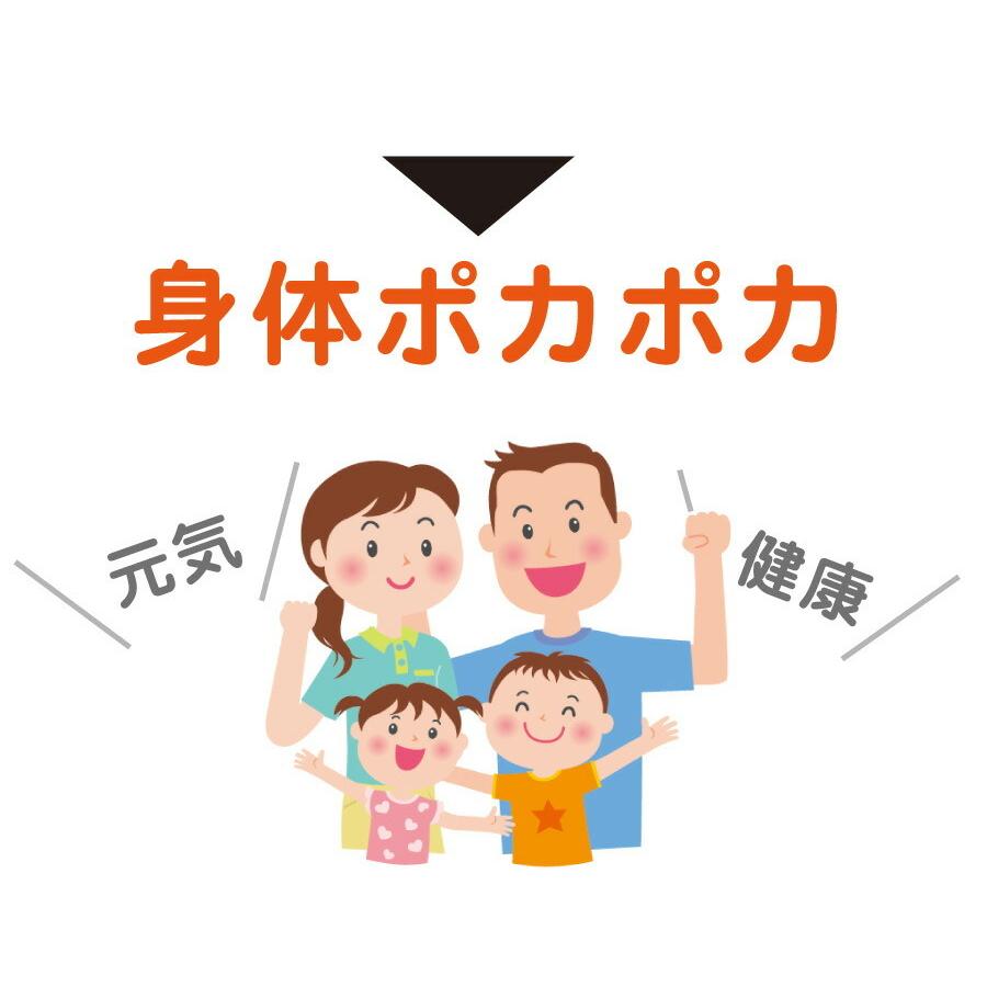 生姜パウダー 国産 無添加 出汁 だし 飲むだし 粉末 ペプチド 生姜粉末 生姜スープ 高知県産 しょうが しょうがスープ 和風だし ブレンド ペプチドリップ｜shizennomegumi｜06