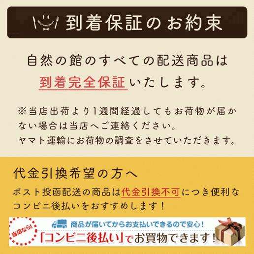 送料無料 だし 宗田節 国産 味源のだし 50包入り  業務用  出汁 出汁パック 鰹｜shizennoyakata｜19