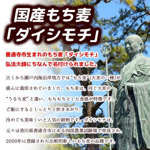 もち麦 送料無料 国産もち麦 450g ダイシモチ βグルカン ダイエット 米 大麦 非常食 もちプチ｜shizennoyakata｜02