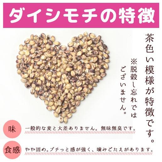 美味しさは元気の源 自然の館 もち麦 国産 900g 送料無料 ダイシモチ β