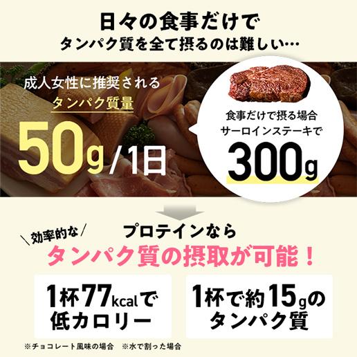 【2袋セット】 プロテイン 人工甘味料不使用 軽量スプーン付き 高タンパク質 美味しさは元気の源 自然の館 プロテイン 人工甘味料不使用 福袋 W
