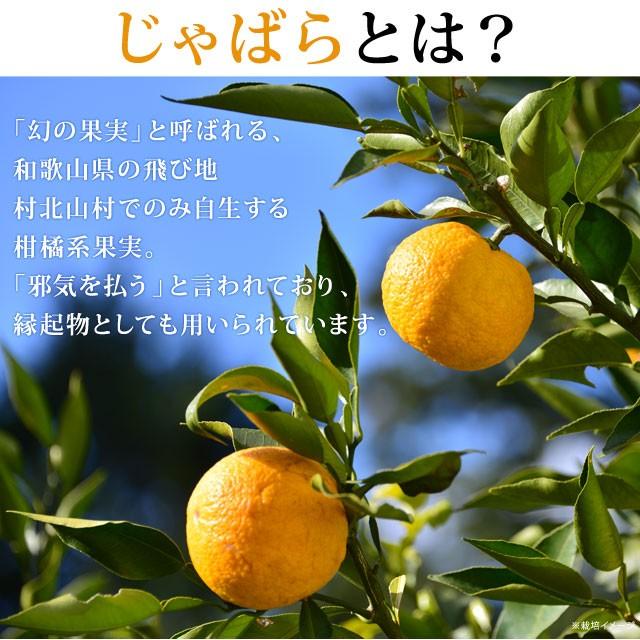 美味しさは元気の源 自然の館 【今だけ☆クーポンSALE開催中】飴