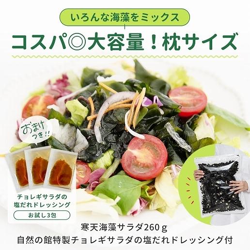 送料無料 寒天 メガ盛り 寒天海藻サラダ 2袋セット 味噌汁の具 メガ盛5g 260g 2 湯戻し 簡単 まとめ買い ダイエット 業務用 非常食 ミネラル 美味しさは元気の源 自然の館 通販 Paypayモール