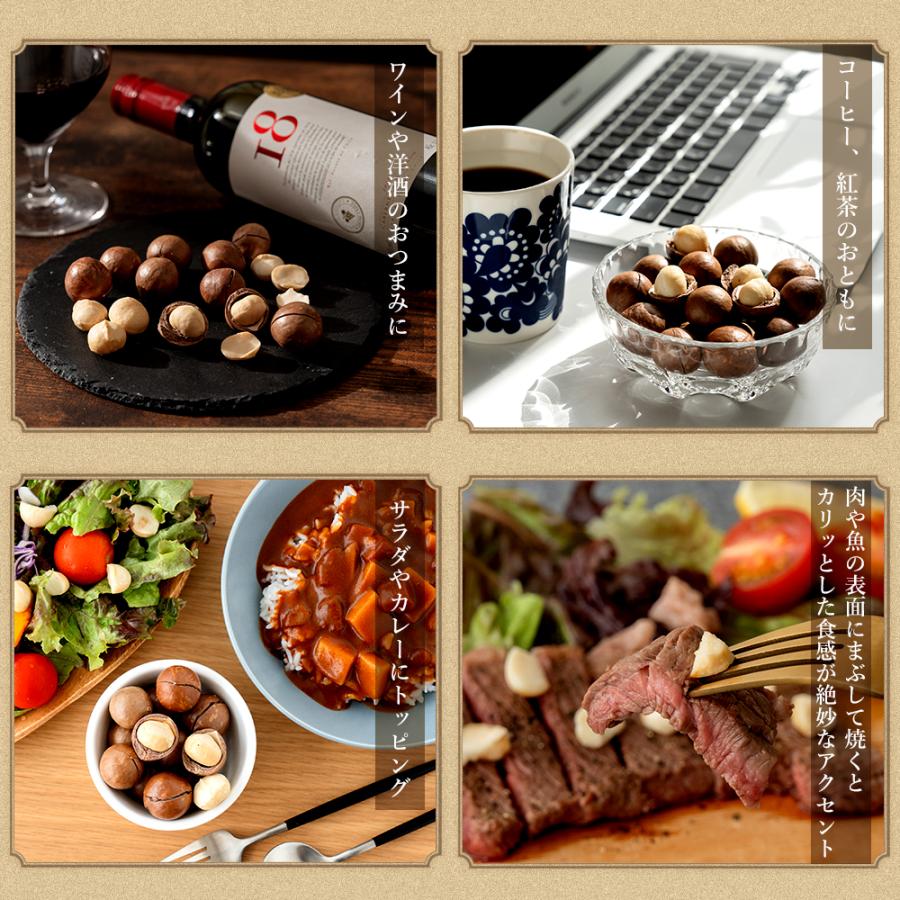 美味しさは元気の源 自然の館 ナッツ ロースト 殻付きマカダミアナッツ