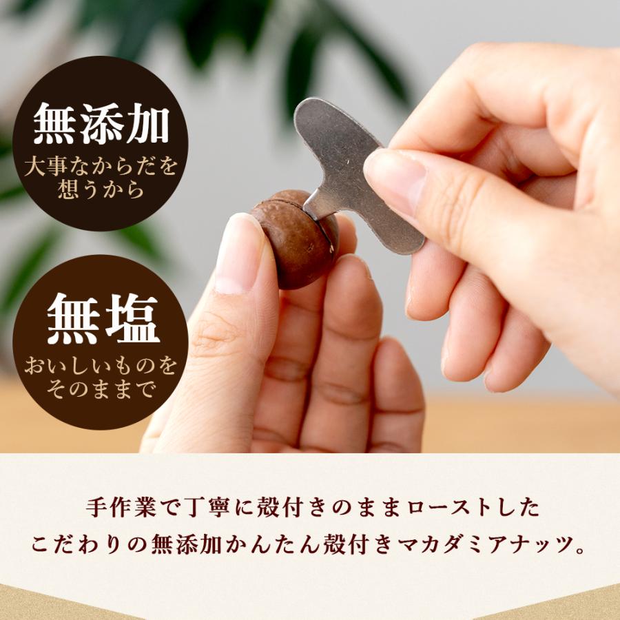 美味しさは元気の源 自然の館 ナッツ ロースト 殻付きマカダミアナッツ