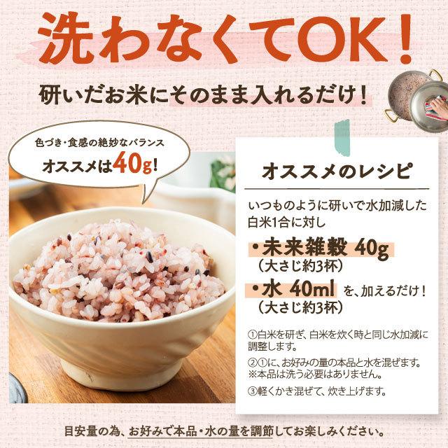 まとめ買い 米 雑穀 送料無料 国産 未来雑穀21+マンナン 4kg 400g×10 もち麦配合 ダイエット セール 訳あり食品 簡易梱包 非常食 もちプチ｜shizennoyakata｜07