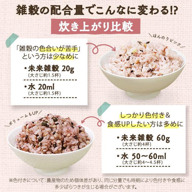 まとめ買い 米 雑穀 送料無料 国産 未来雑穀21+マンナン 4kg 400g×10 もち麦配合 ダイエット セール 訳あり食品 簡易梱包 非常食 もちプチ｜shizennoyakata｜08