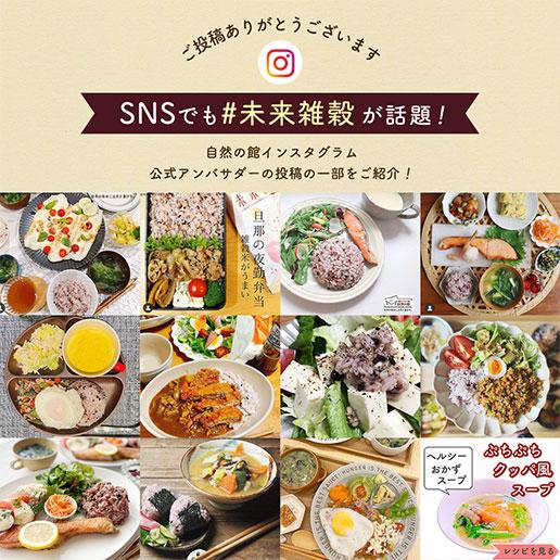 米 雑穀 雑穀米 国産  未来雑穀21+マンナン 1.6kg 400g×4 もち麦配合 まとめ買い ダイエット セール 訳あり食品 簡易梱包 非常食 もちプチ  爆買 | 美味しさは元気の源 自然の館 | 16