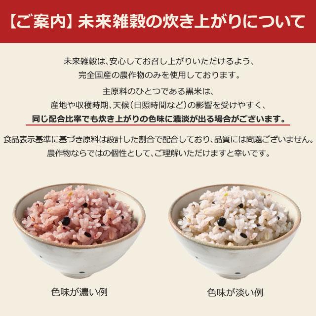 美味しさは元気の源 自然の館 米 雑穀 雑穀米 国産 送料無料 未来雑穀