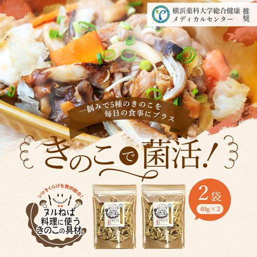 送料無料 きのこ ヌルねば料理に使うきのこの具材。40g×2 味噌汁 シチュー サラダ 炊き込みご飯 シロきくらげ 保存食 ネバ活｜shizennoyakata｜02