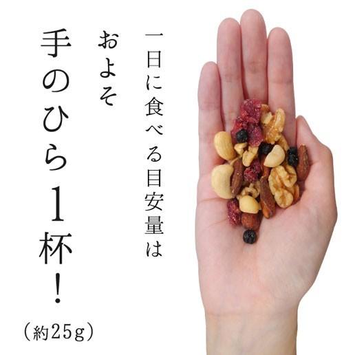 美味しさは元気の源 自然の館 ミックスナッツ 送料無料 大人女子の