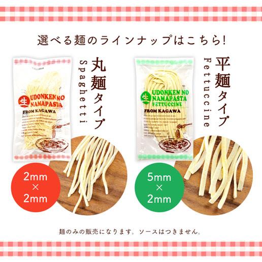 お試しグルメ 讃岐生パスタ 麺 200g×2袋 4人前 送料無料 スパゲッティ フェットチーネ デュラム小麦粉 お取り寄せ お試しグルメギフト  爆買 | 美味しさは元気の源 自然の館 | 02