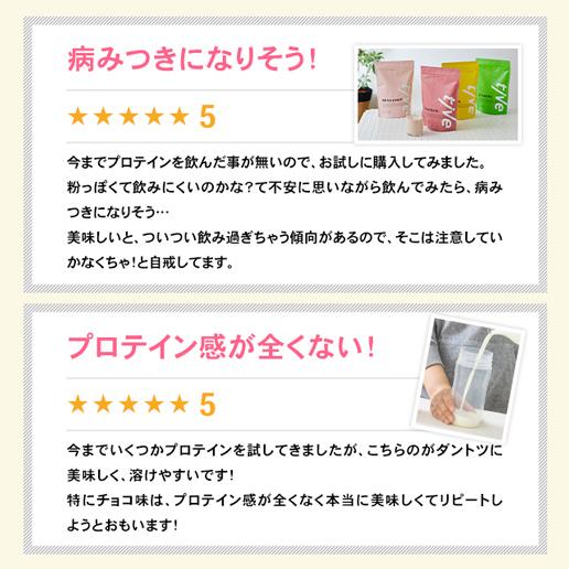 プロテイン ソイプロテイン 500g 女性 ダイエット 置き換え 人口着色料 保存料 不使用 グルテンフリー tive｜shizennoyakata｜24