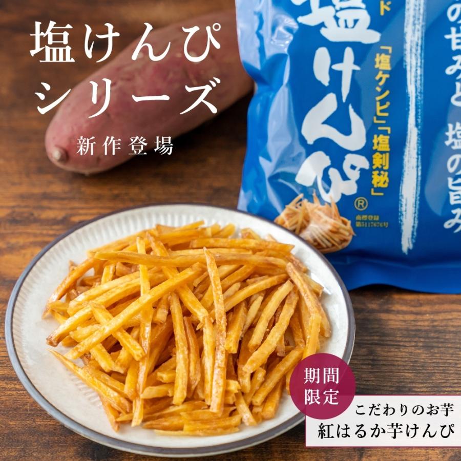 おつまみ 芋けんぴ 送料無料 芋屋の細切り塩けんぴ 5個セット 業務用 メガ盛り まとめ買い 南国製菓 水車屋 スイーツ 美味しさは元気の源 自然の館 通販 Paypayモール