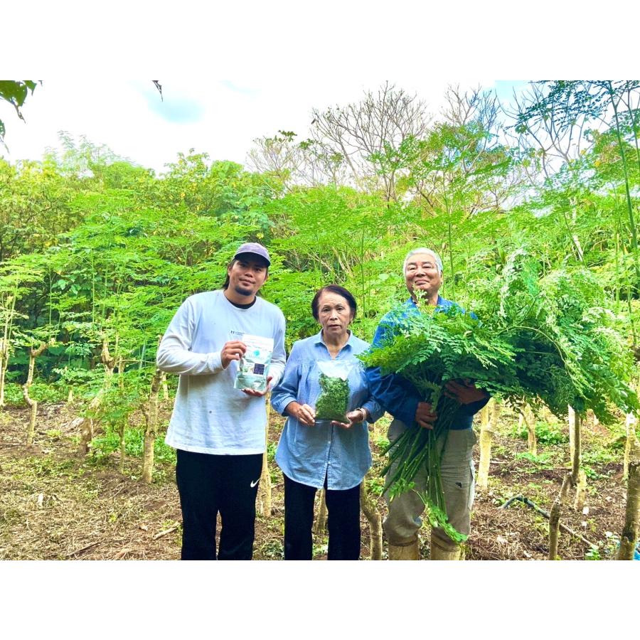 石垣島産 石垣明石産100% 健康茶 ミックス茶100g モリンガ 月桃 石垣島産 石垣明石産100% 健康茶 ミックス茶100g モリンガ 月桃