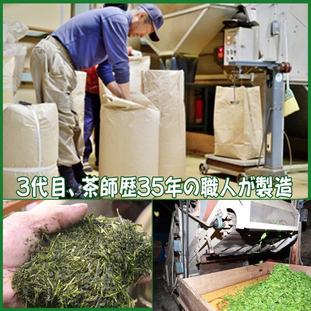 蔵出し特上茶 100ｇ×12袋　静岡茶　送料無料　深むし茶 お茶 日本茶 深蒸し茶 本山茶｜shizuoka-cha｜15