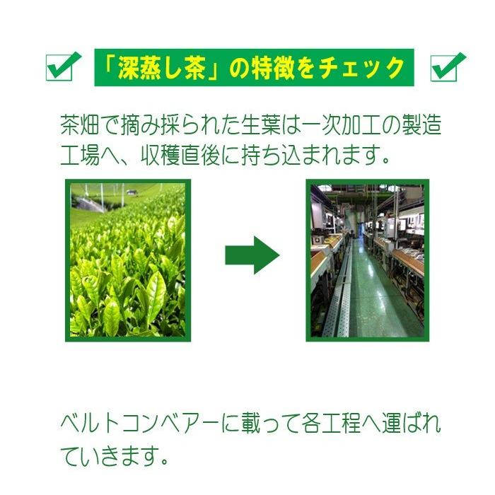 深むし茶８０g×１袋＆上煎茶 優８０ｇ×１袋　静岡茶 送料無料 お試し ポッキリ｜shizuoka-cha｜09