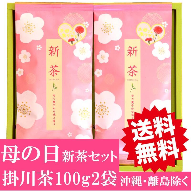 美笠園 母の日 新茶 ギフト 春いろ お茶 セット 100g2袋 深蒸し 掛川茶