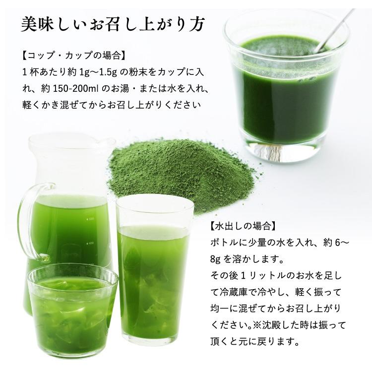 桑の葉茶 粉末 パウダー 国産  桑の葉 青汁 100g くわの葉 桑葉 くわの葉 血糖値 ポイント利用 爆買 | 静岡茶園 | 14