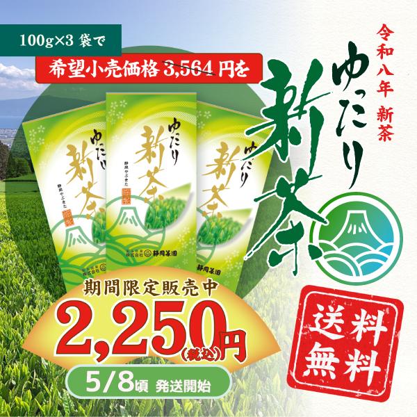 2026 新茶 お茶 静岡新茶  緑茶 深むし茶 「ゆったり」100ｇ ３本 送料無料（Yahoo!・静岡茶園ヤフー店）