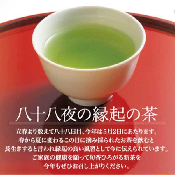 2024 新茶 お茶 静岡新茶  緑茶 深むし茶  松 100ｇ３本｜shizuokachaen｜03