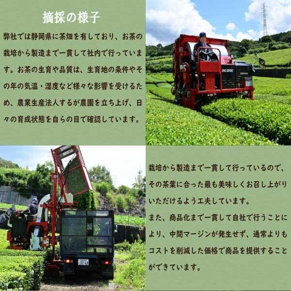 2024 新茶 お茶 静岡新茶  緑茶 深むし茶 竹 100ｇ 3本　　｜shizuokachaen｜06