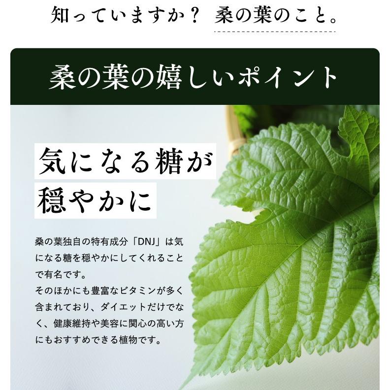 桑の葉茶  スティック １００ 粉末 国産  桑の葉 粉末 青汁 桑の葉茶 桑葉 パウダー くわの葉　｜shizuokachaen｜06