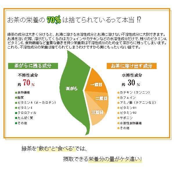 粉末緑茶  100ｇ 2袋 緑茶粉末 粉末茶 緑茶 静岡茶 徳用  まるごと ほっと緑茶 国産 微粉末緑茶 粉末茶 業務用 カテキン ポイント利用 爆買 | 静岡茶園 | 06
