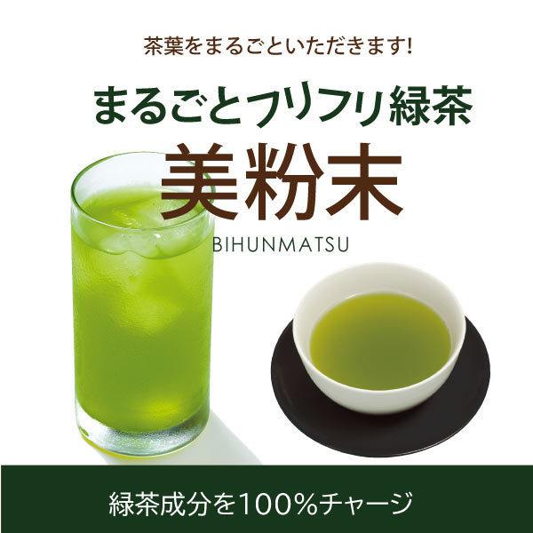 粉末緑茶  100ｇ 2袋 緑茶粉末 粉末茶 緑茶 静岡茶 徳用  まるごと ほっと緑茶 国産 微粉末緑茶 粉末茶 業務用 カテキン ポイント利用 爆買 | 静岡茶園 | 09