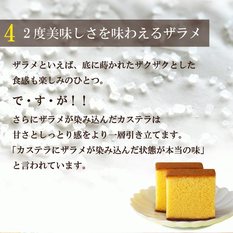 静岡茶園 カステラ 長崎 ギフト ざらめ 長崎街道 はちみつ風味 2箱