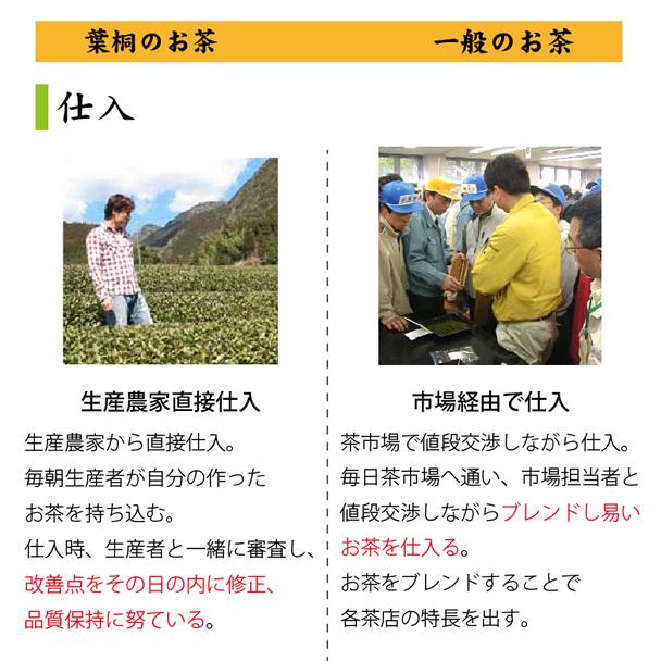 葉桐 お茶 緑茶 日本平蒼風 にほんだいらそうふう 100g 希少品種茶