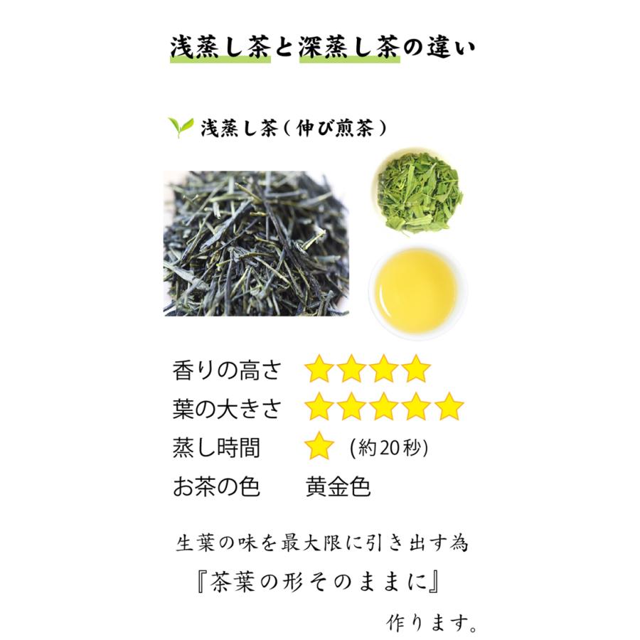 お茶 緑茶 やぶきた深むし茶500g 静岡茶 緑茶 深むし茶 煎茶 日本茶 葉桐 お茶 茶葉 深むし茶 深むし製法 深蒸し｜shizuokahagiricha｜05