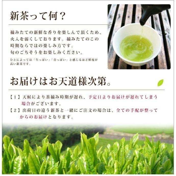 葉桐 お茶 緑茶 新茶 静岡新茶 丸子わせ 30g 静岡一早い静岡新茶 2026
