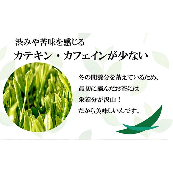 葉桐 お茶 緑茶 新茶 静岡新茶 丸子わせ 30g 静岡一早い静岡新茶 2026