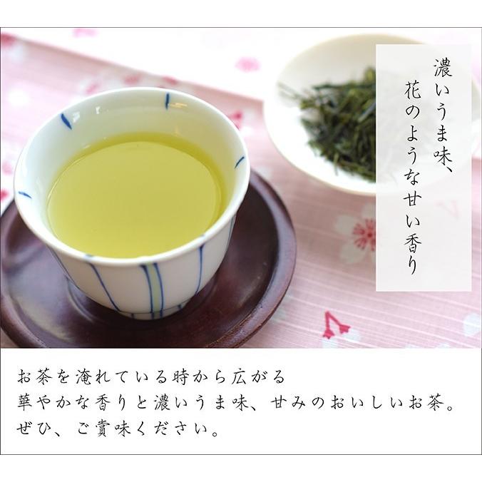 葉桐 お茶 緑茶 新茶 静岡新茶 丸子わせ 30g 静岡一早い静岡新茶 2026