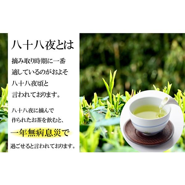 葉桐 お茶 緑茶 やぶきた新茶 100g×3本 送料無料 2025年産 茶の