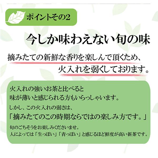 葉桐 お茶 緑茶 やぶきた新茶 100g×3本 送料無料 2025年産 茶の