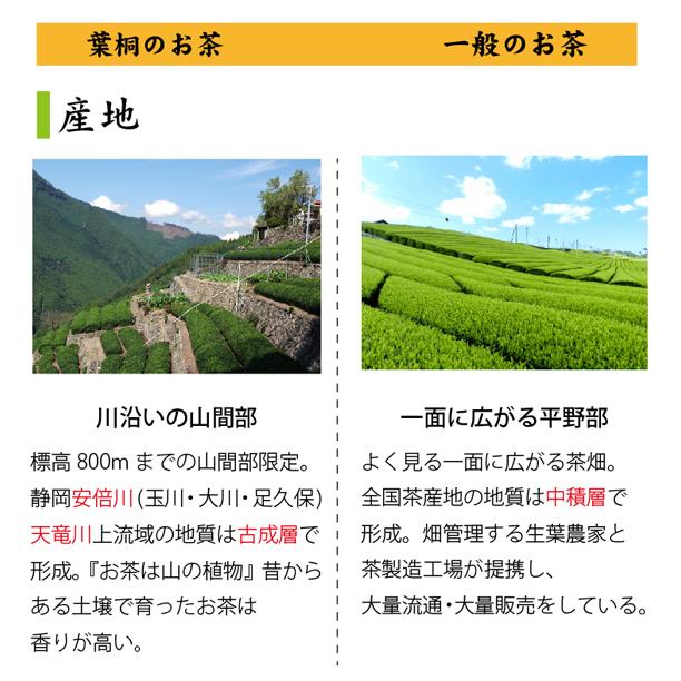 26年産になりました  テレビで紹介されました お茶 緑茶 煎茶 やまかい 山峡 100g 天然玉露 幻のお茶 シングルオリジン 旨味 甘み 希少品種 ブレケルオスカル | 葉桐 | 09