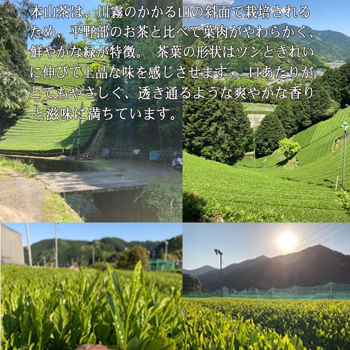 くき茶／茎茶 （棒茶） 100g |  | 10