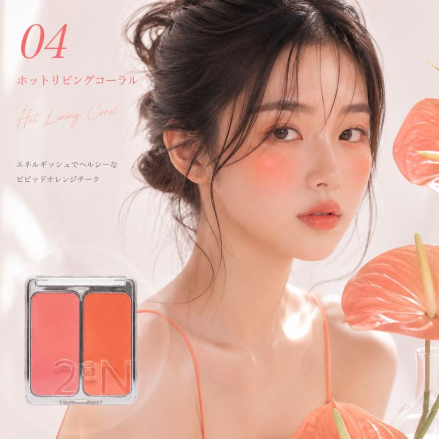 2aN（トゥーエーエヌ） 【並行輸入品】 チーク デュアルチーク 01 02