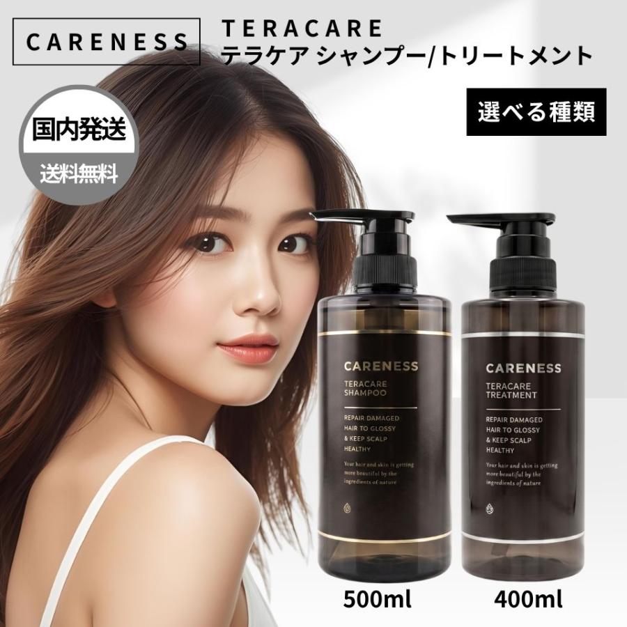 ケアネス　テラケアシャンプー1000ml 2本 CARENESS（ケアネス） テラケア シャンプー トリートメント 本体