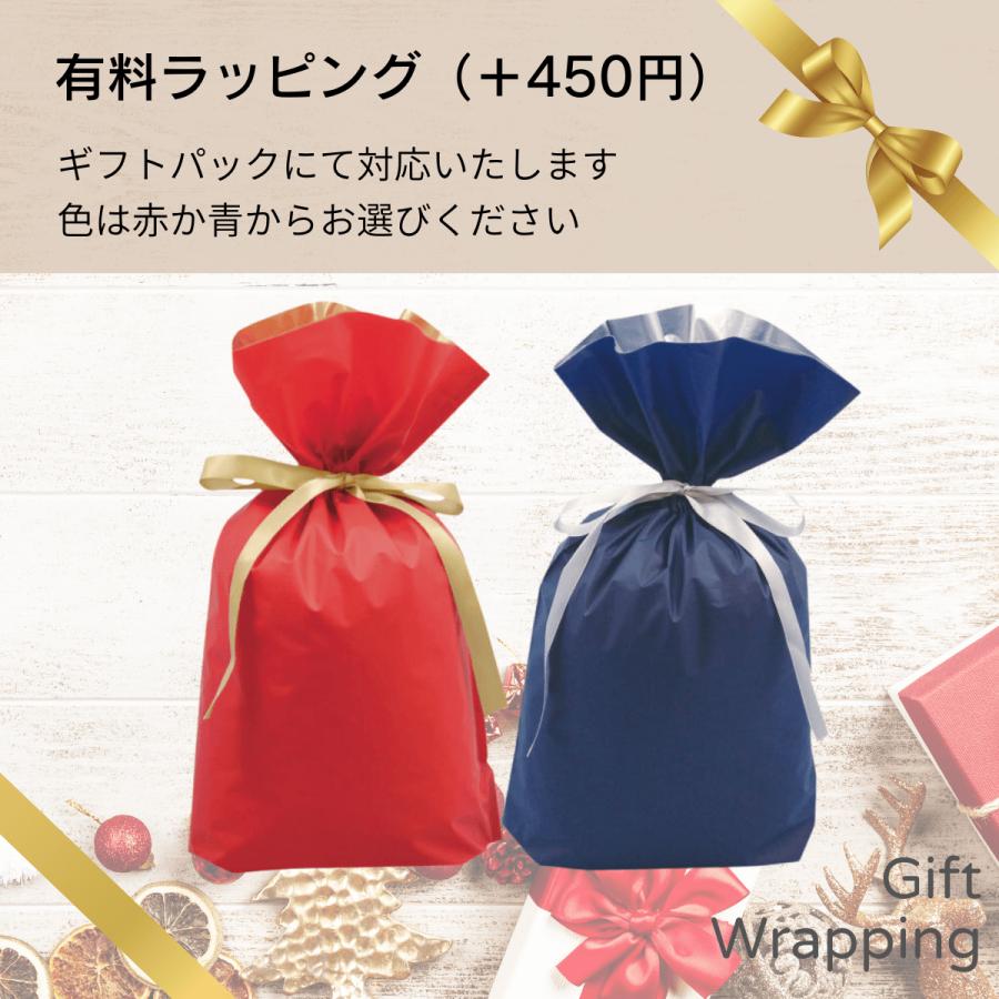 CARENESS（ケアネス） テラケア シャンプー トリートメント 詰替え 2本