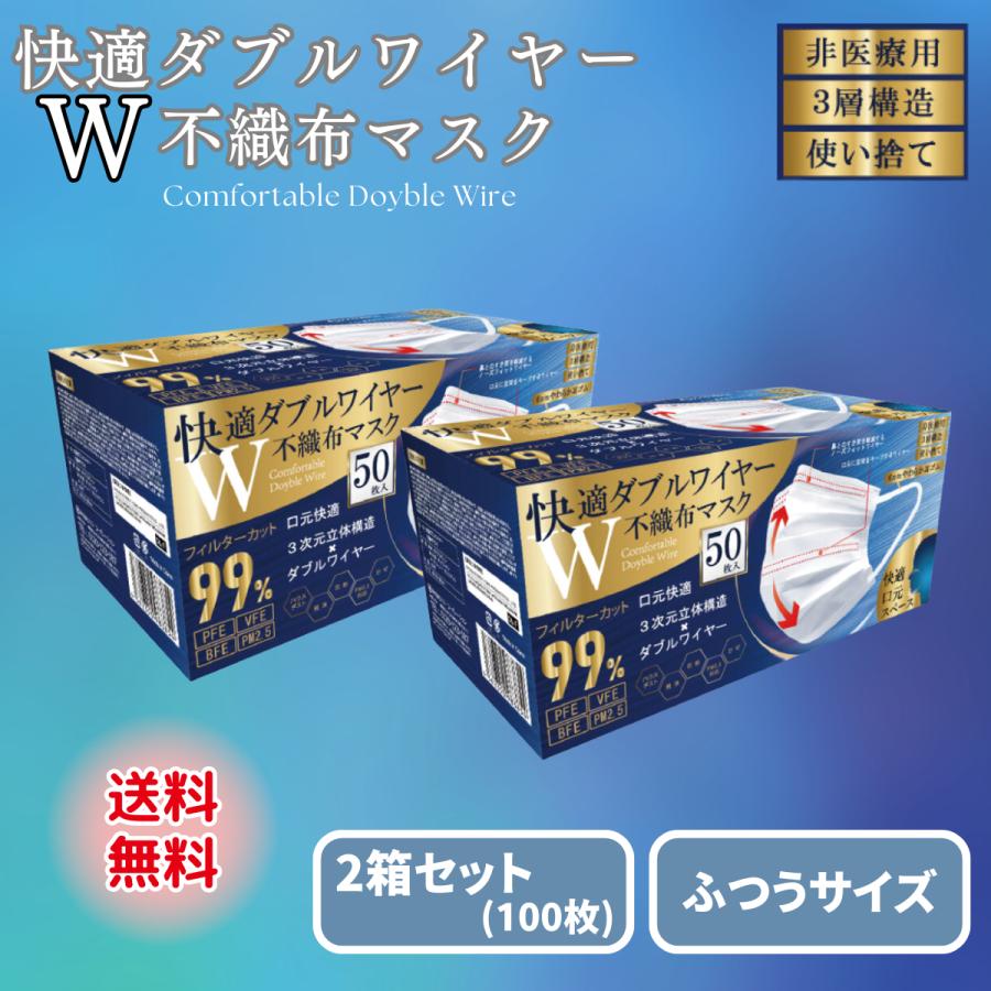 ヒロ・コーポレーション マスク ダブルワイヤー 不織布 50枚 快適 2箱