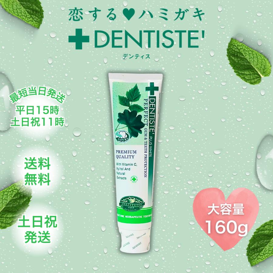 DENTISTE'（デンティス） 160g 歯磨き粉 チューブ 口臭予防 オリジナル