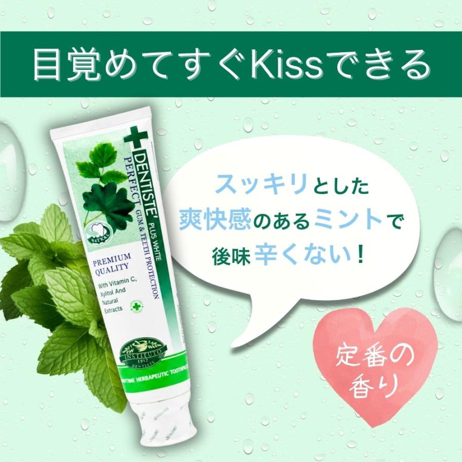 TOM　歯磨き粉　2本　同梱割引値段 DENTISTE'（デンティス） 160g 歯磨き粉 2本 チューブ 口臭ケア