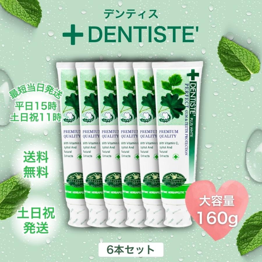 DENTISTE'（デンティス） 160g 歯磨き粉 6本 チューブ 口臭予防