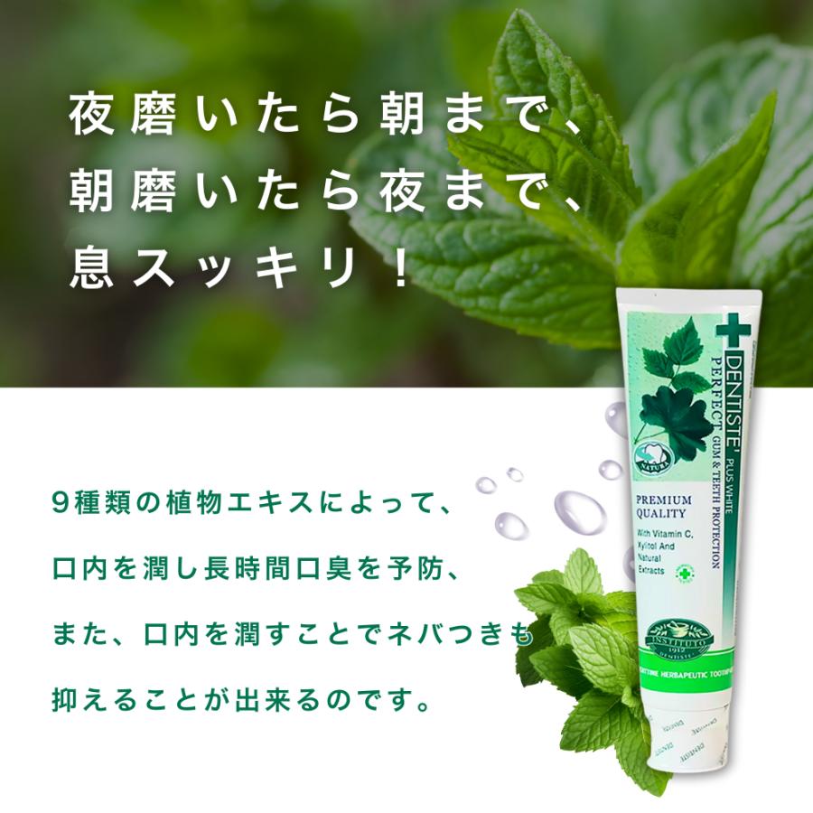 DENTISTE'（デンティス） 160g 歯磨き粉 6本 チューブ 口臭予防