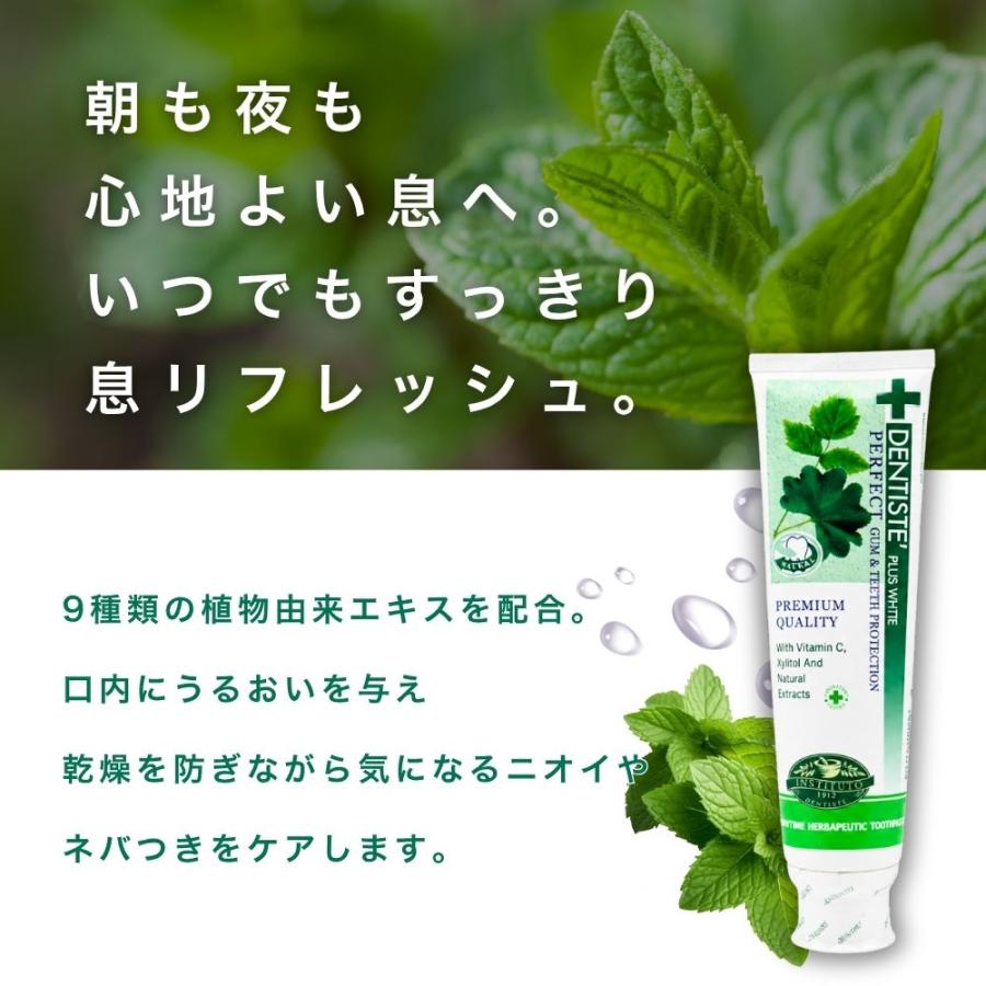 デンティス DENTISTE 160g 6本 DENTISTE'（デンティス） 160g 歯磨き粉 6本 チューブ 口臭予防