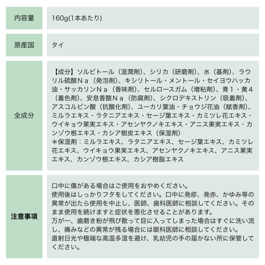 DENTISTE'（デンティス） 160g 歯磨き粉 6本 チューブ 口臭予防