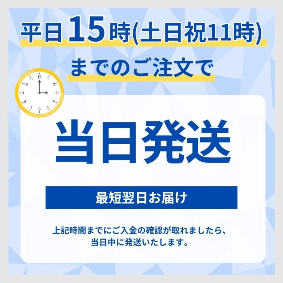 ヒロ・コーポレーション 冷感マスク 不織布 50枚 極冷マスク プリーツ